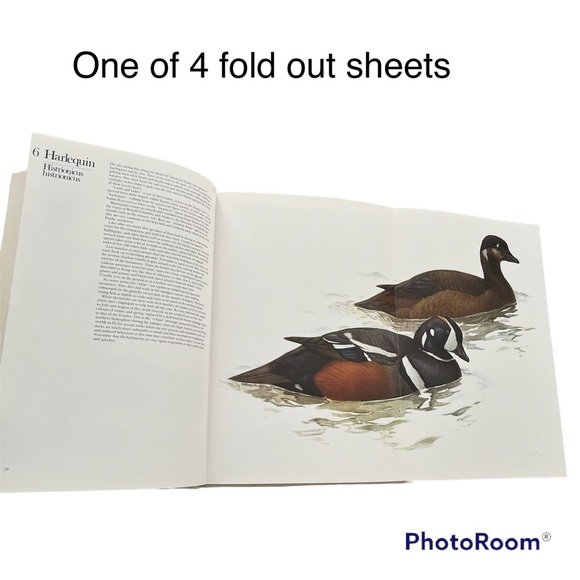 Birds of the West Coast Vol 1 Painting, drawing & text by J.F. Lansdowne. Nature - Picture 11 of 17